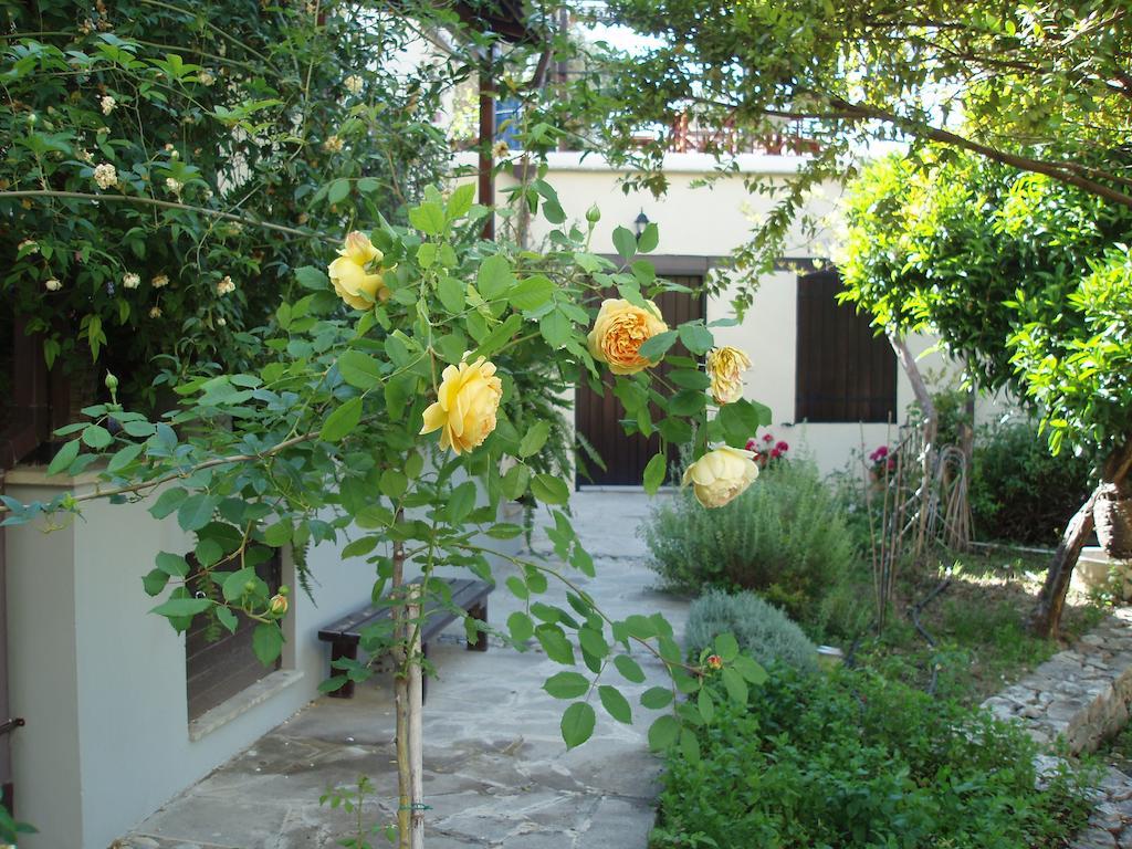 Villa Vasilion Agrotourism Polis Habitación foto