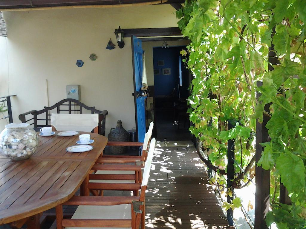 Villa Vasilion Agrotourism Polis Habitación foto