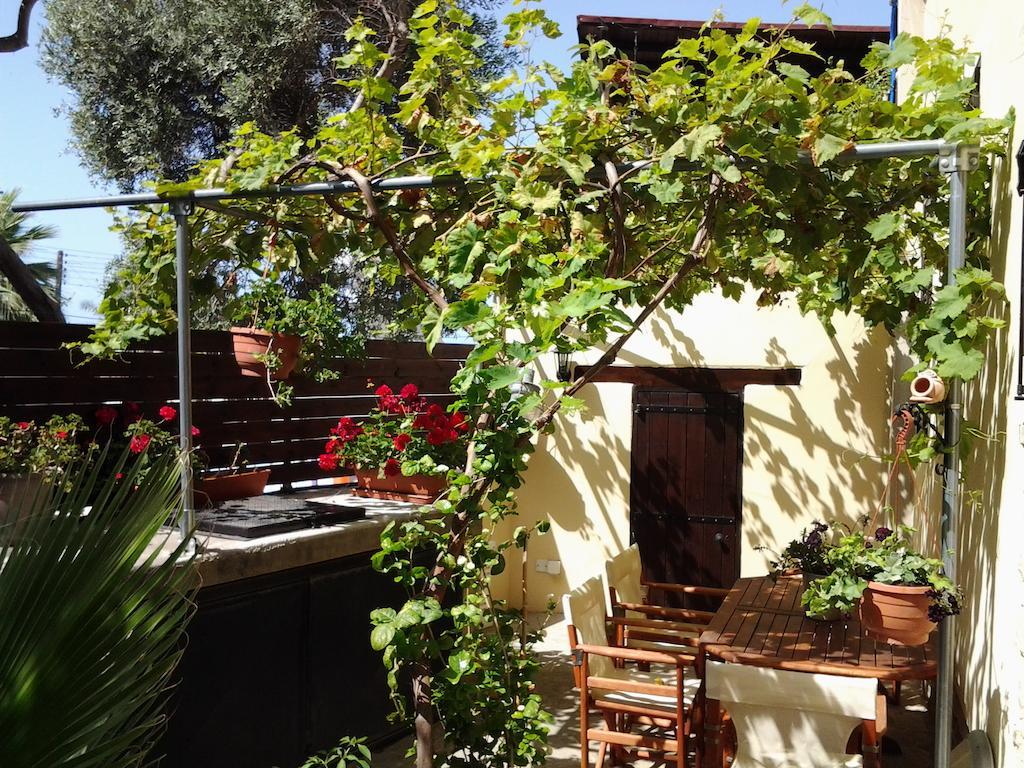 Villa Vasilion Agrotourism Polis Habitación foto