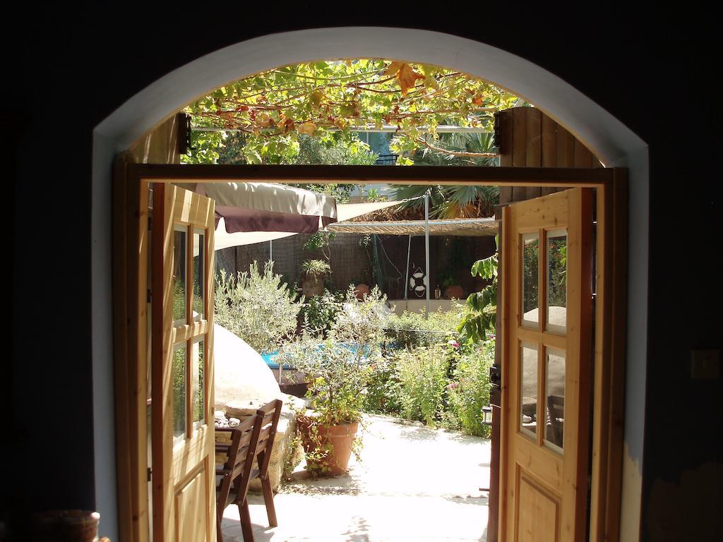 Villa Vasilion Agrotourism Polis Habitación foto