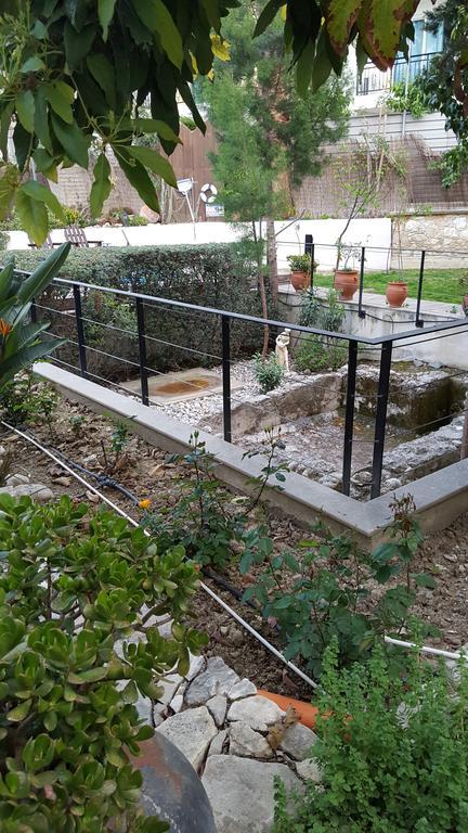Villa Vasilion Agrotourism Polis Exterior foto